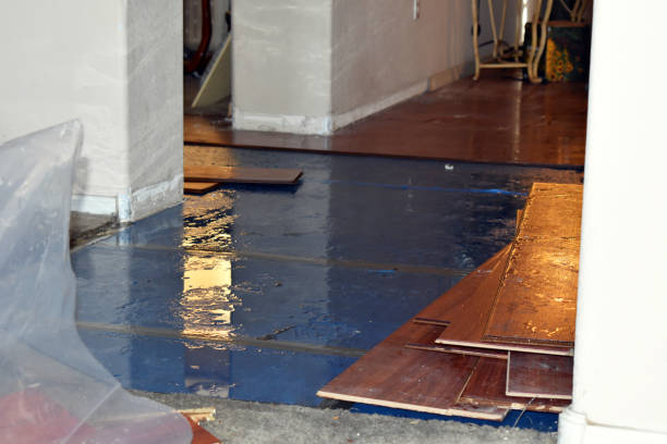 Professional Burst Pipe Cleanup technician working in Katonah, NY